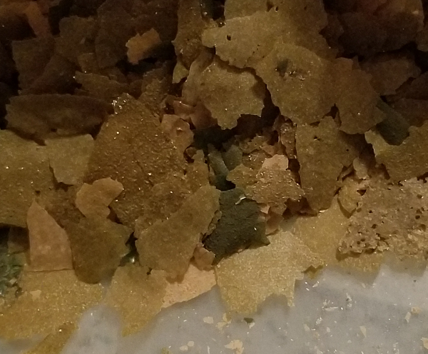 Levamisole medicated flake food for treating internal parasites in aquarium fish