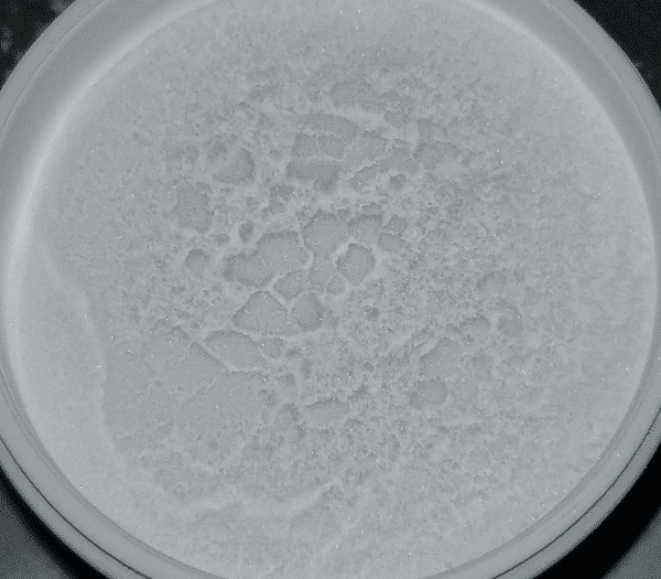 Erythromycin ornamental fish medication for treating bacterial infections in aquarium fish