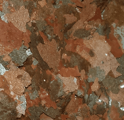 Anti-Parasite Duo medicated flake food combining metronidazole and praziquantel for aquarium fish