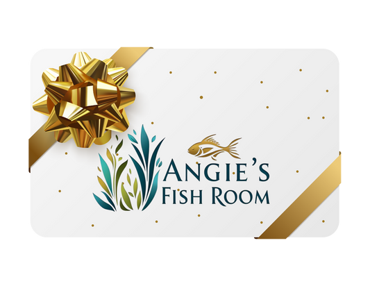 Gift Cards - Angie's Fish Room