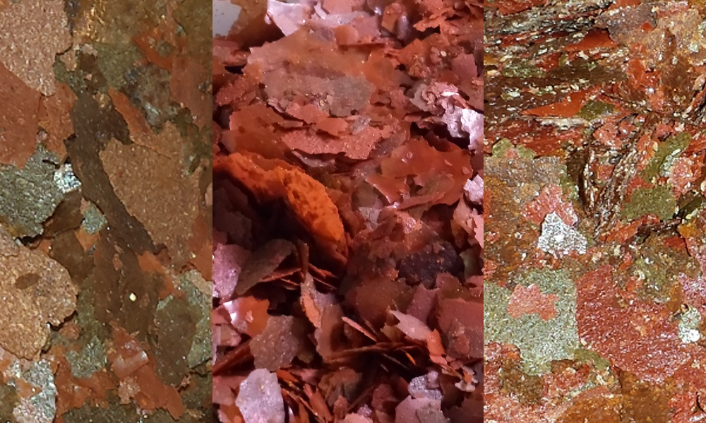 Medicine Cabinet Duo medicated flake food combining antibiotic and parasite treatments for aquarium fish