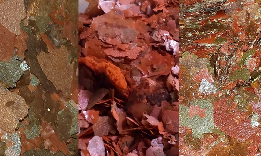 Medicine Cabinet Duo medicated flake food combining antibiotic and parasite treatments for aquarium fish