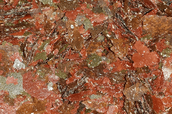 Metronidazole medicated flake food for treating internal parasites in aquarium fish