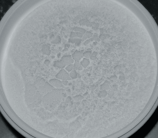 Erythromycin ornamental fish medication for treating bacterial infections in aquarium fish